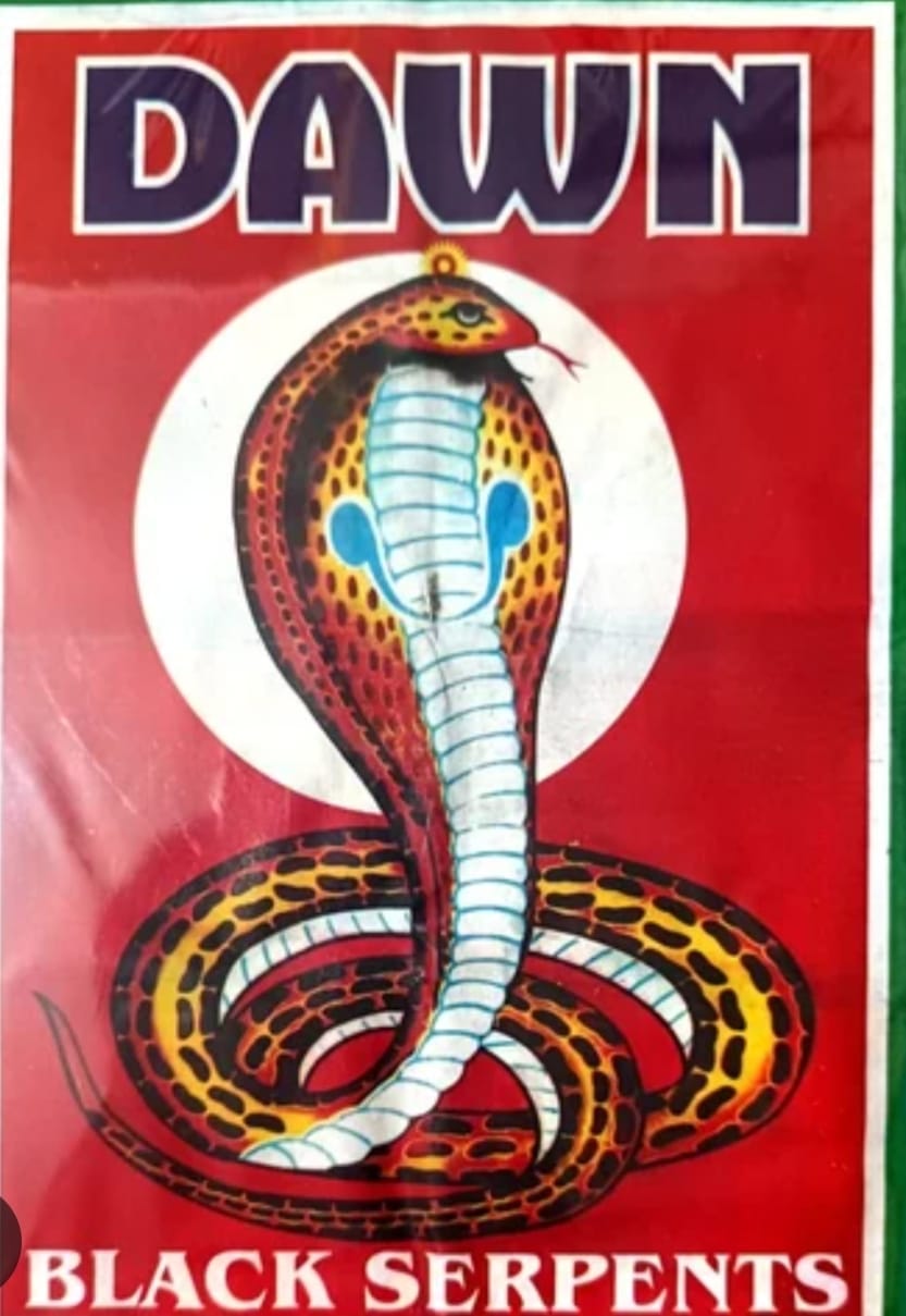 BIG SNAKE